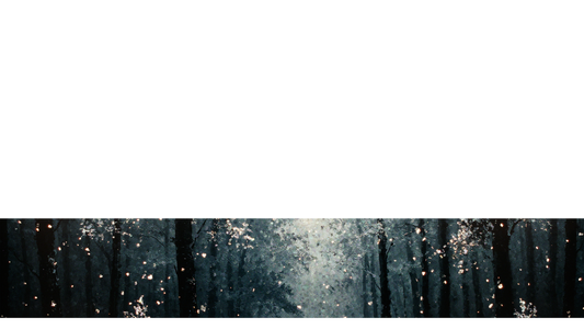 Snow Day Lower Third 4