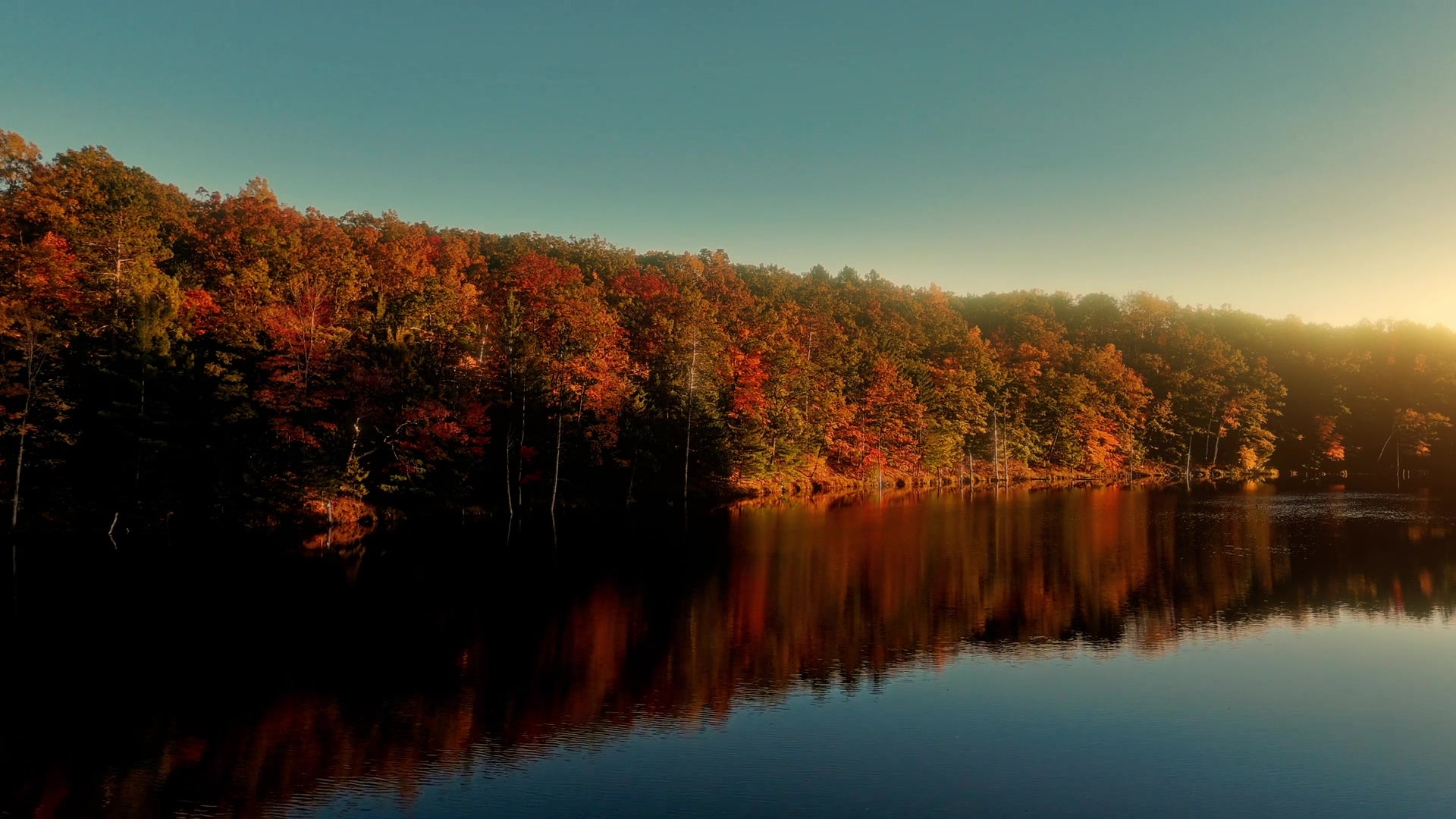 Fall Foliage 12 | Still | – Shift Worship