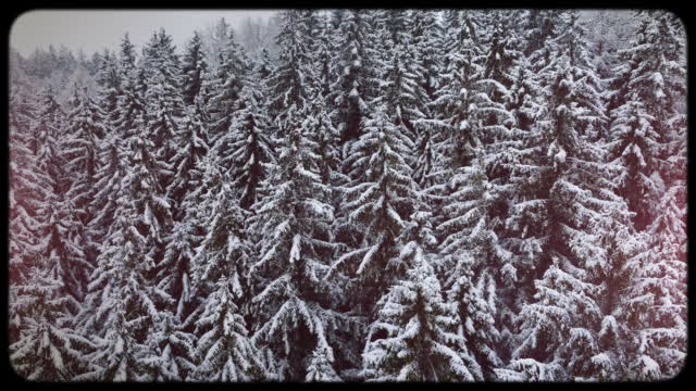 Retro Winter 04