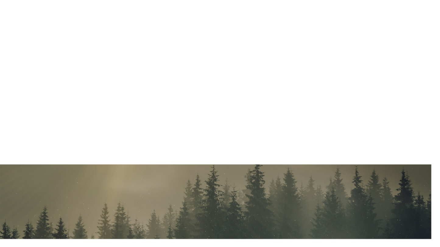 Lumberjack Dad Lower Third 2