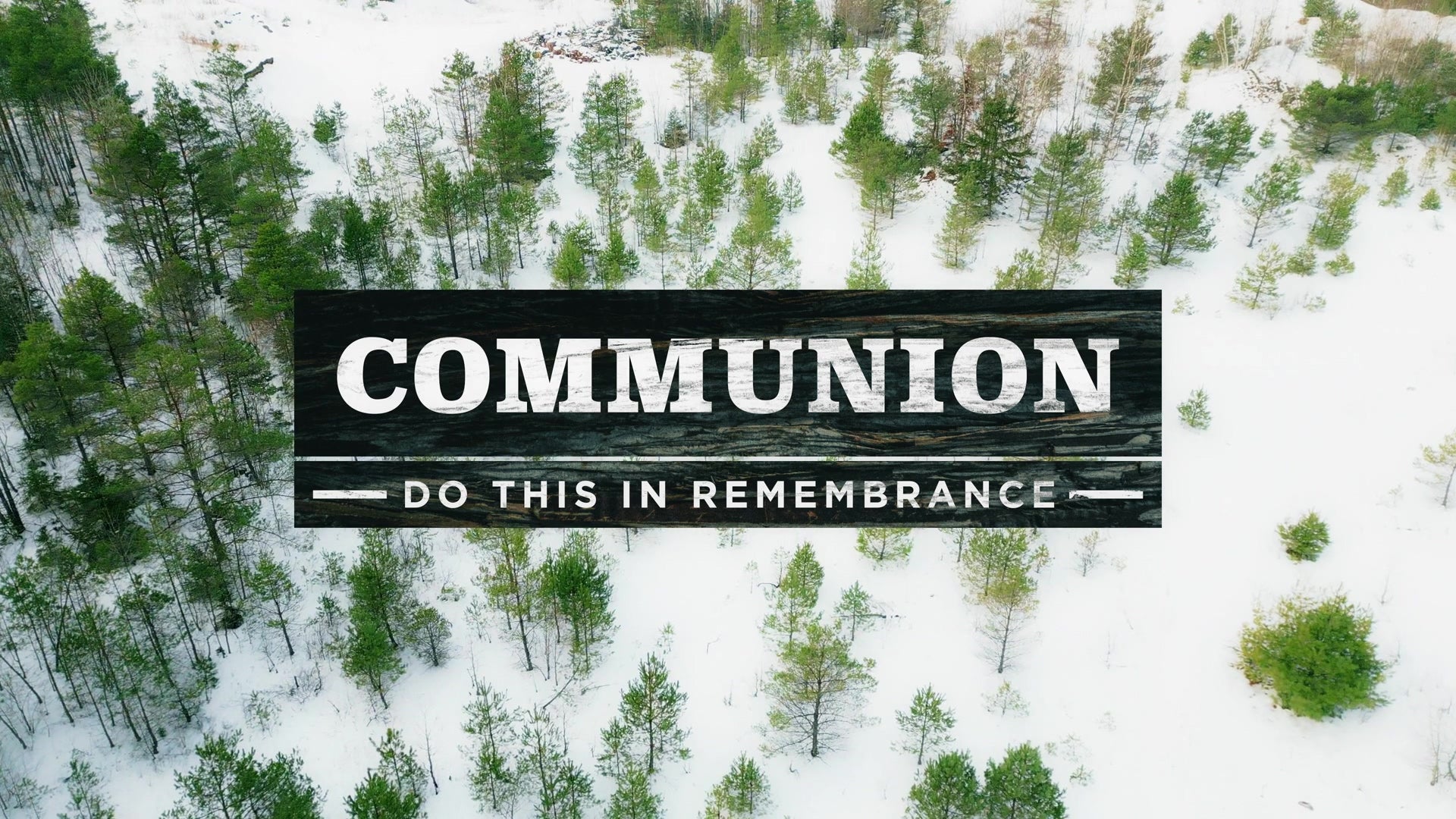 Winter Woods Communion Motion | Shift Worship