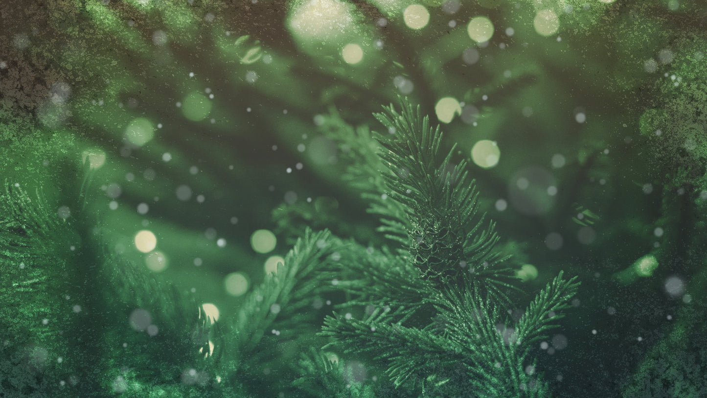 Christmas Cheer Evergreen