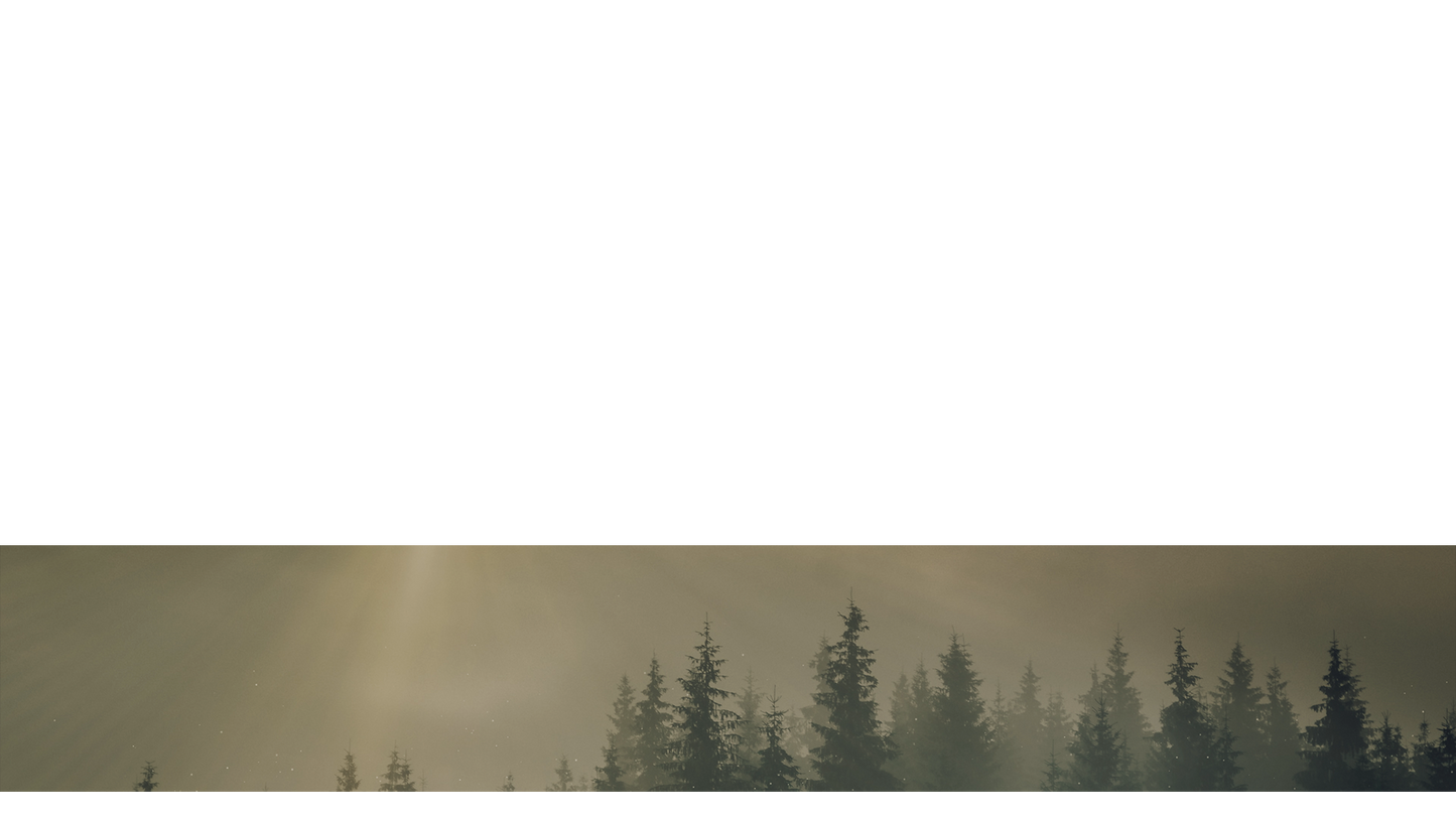 Lumberjack Dad Lower Third Full 2