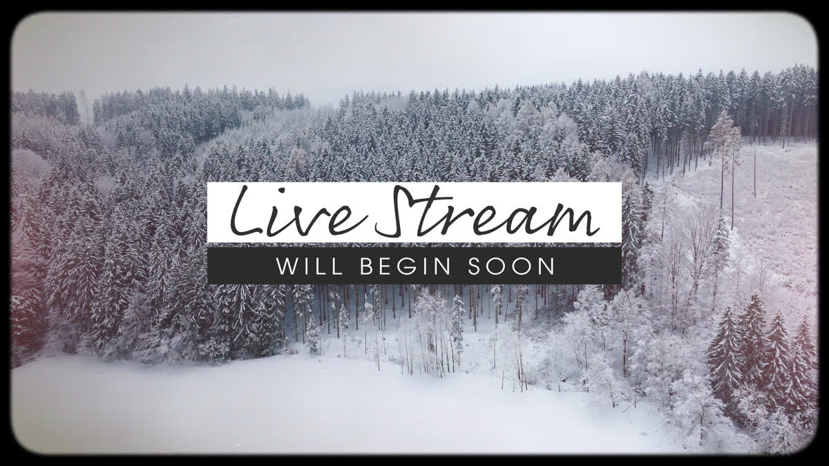 Retro Winter Live Stream