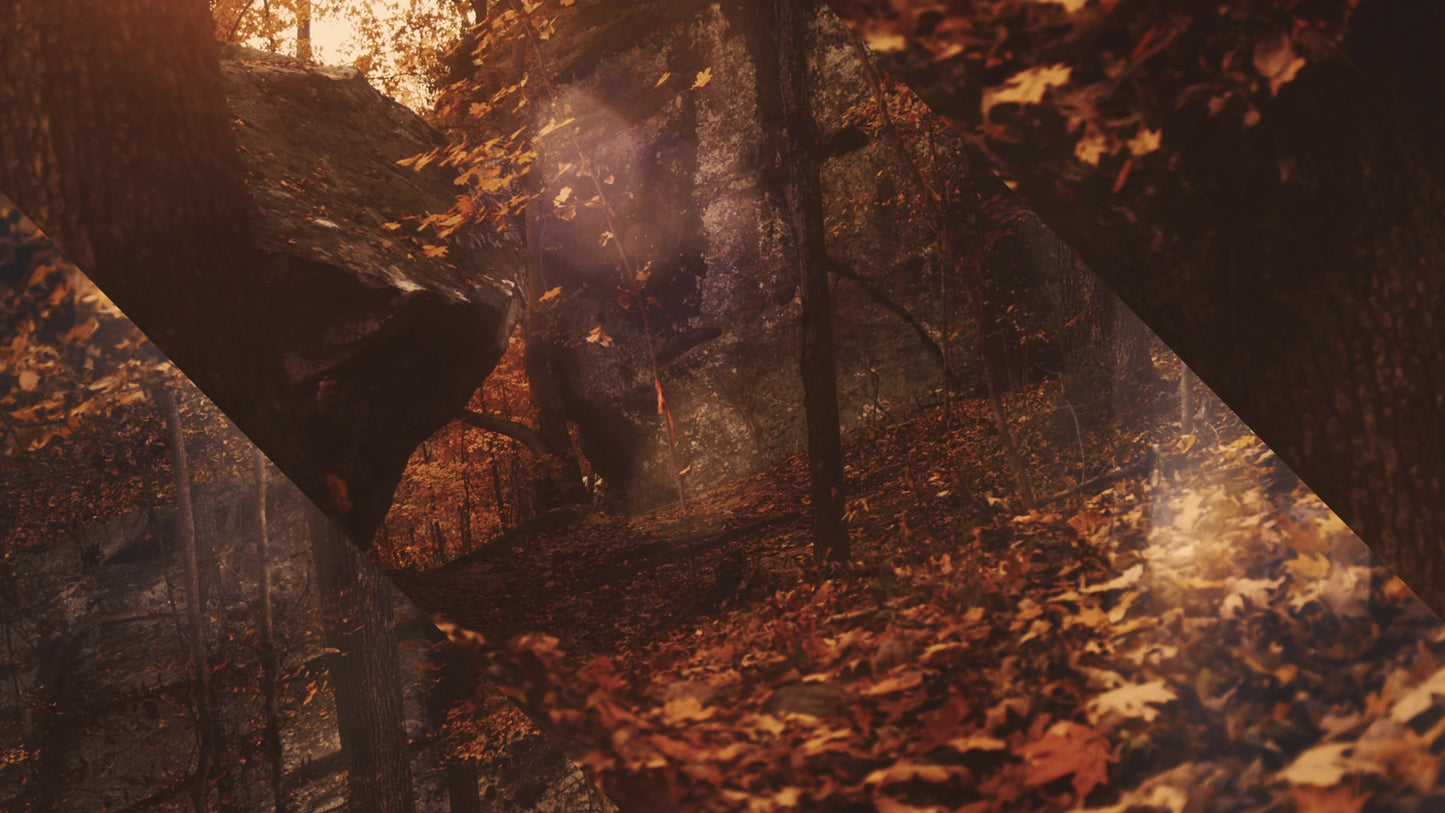 Autumn Dream Path Alt