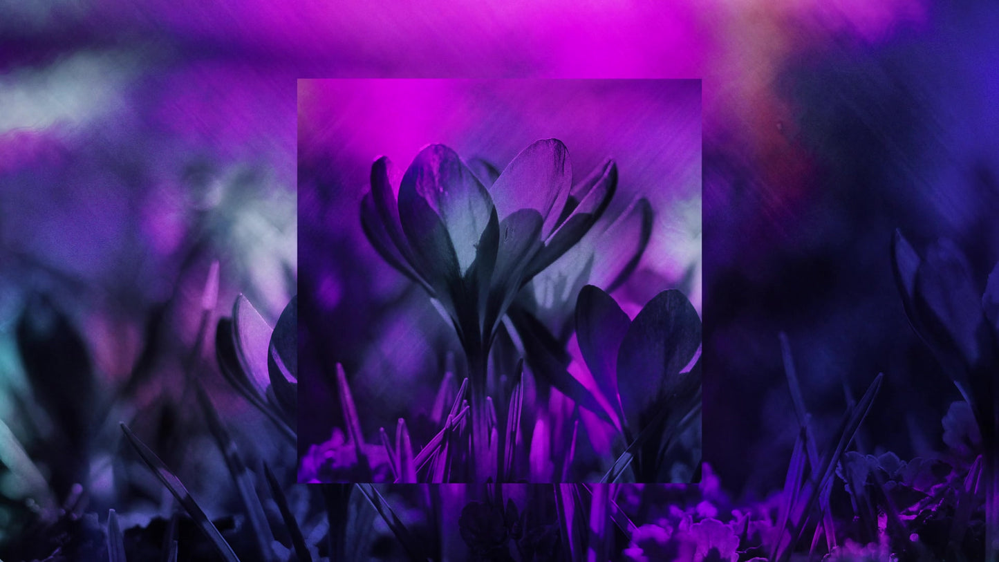 Painted Flowers 15