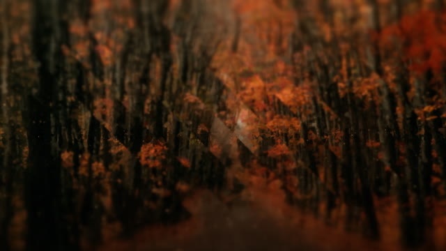 Autumns End 6