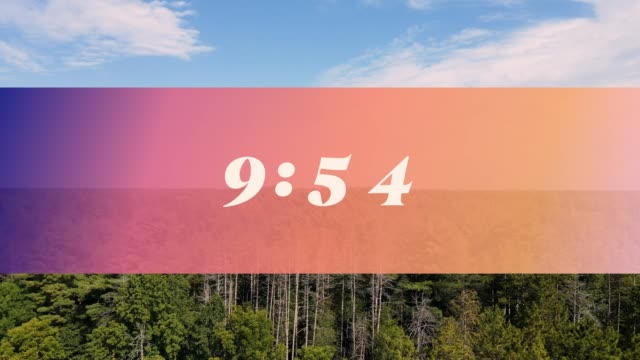 The Forest 10 Min Countdown