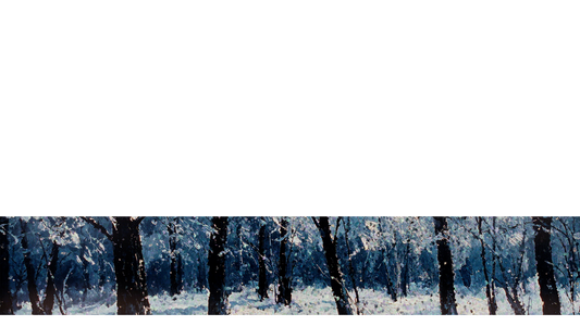 Snow Day Lower Third 8