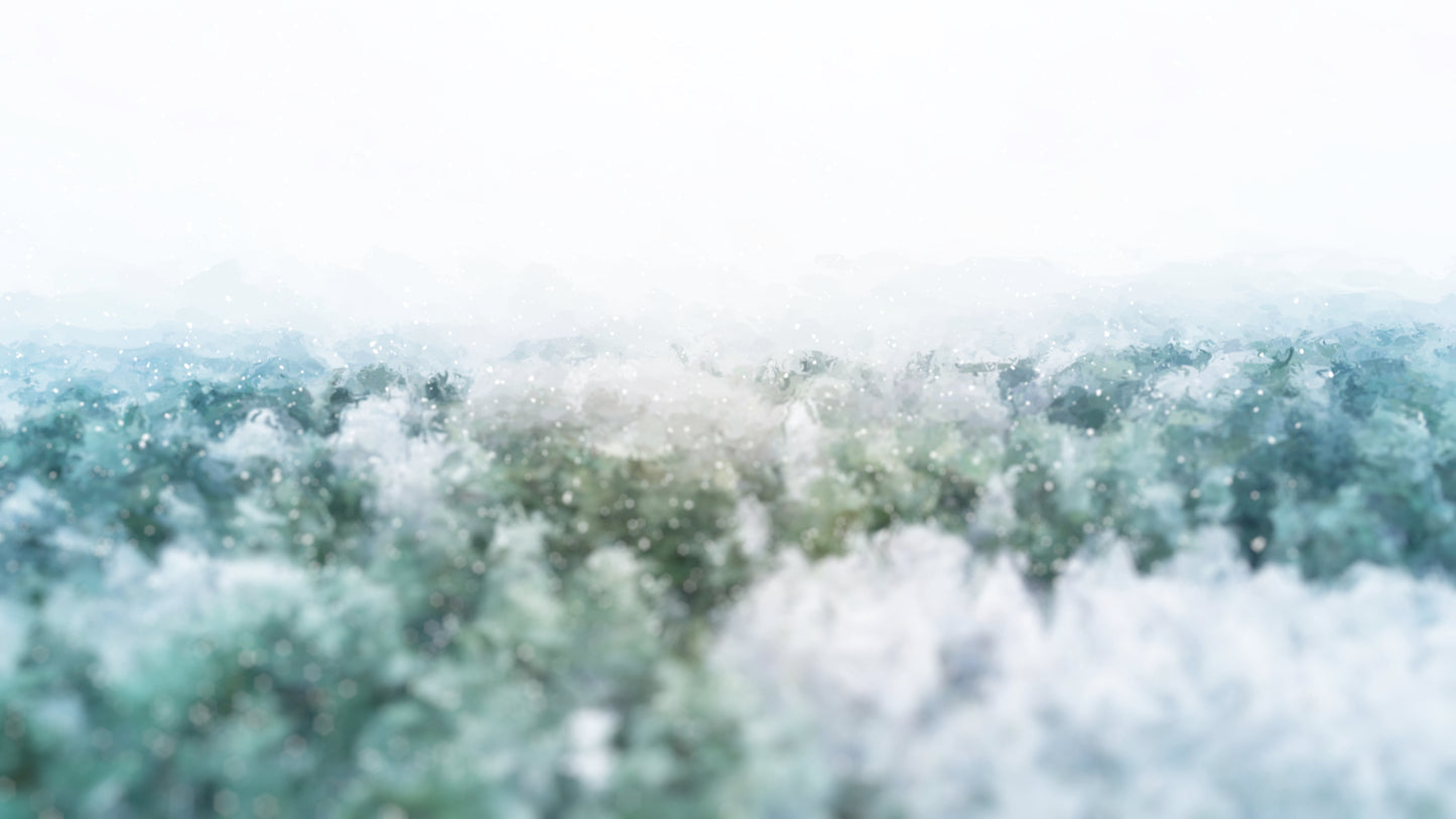 Let It Snow Above