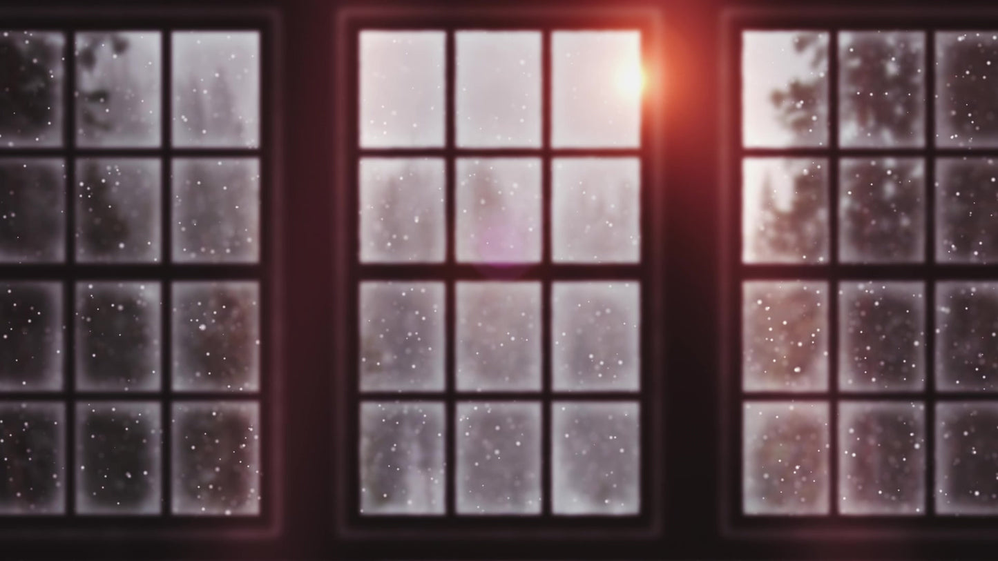 Winter Windows Frosted