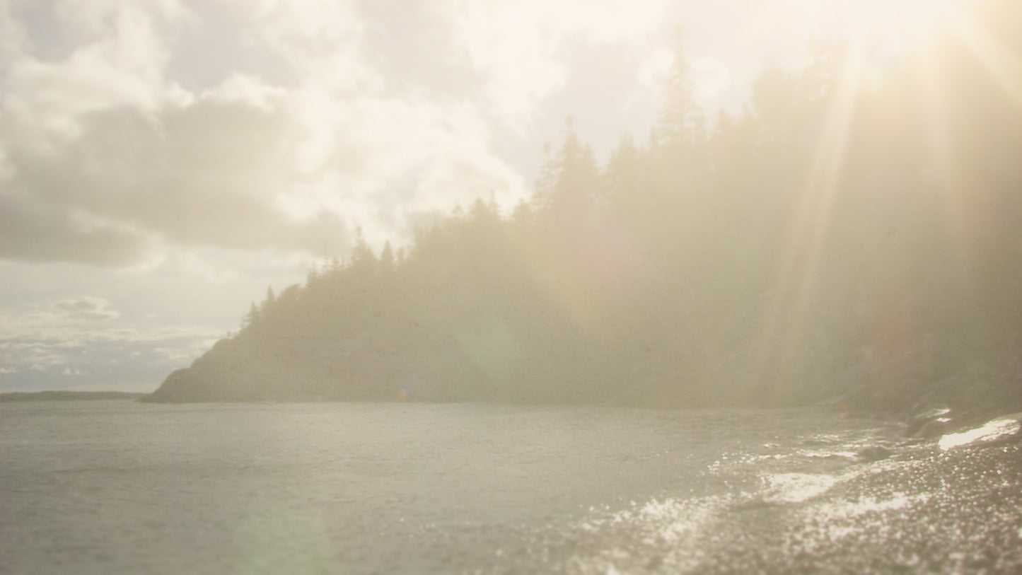 Pine Cove