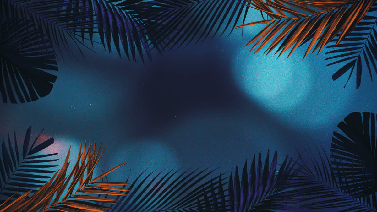Vibrant Palms 3