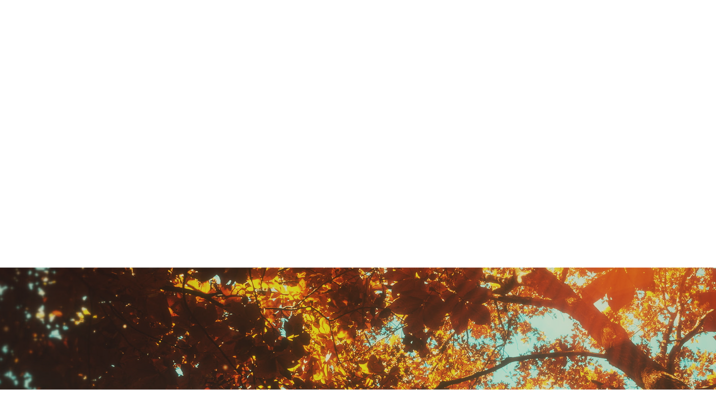 Autumn Canopies Lower Third 8