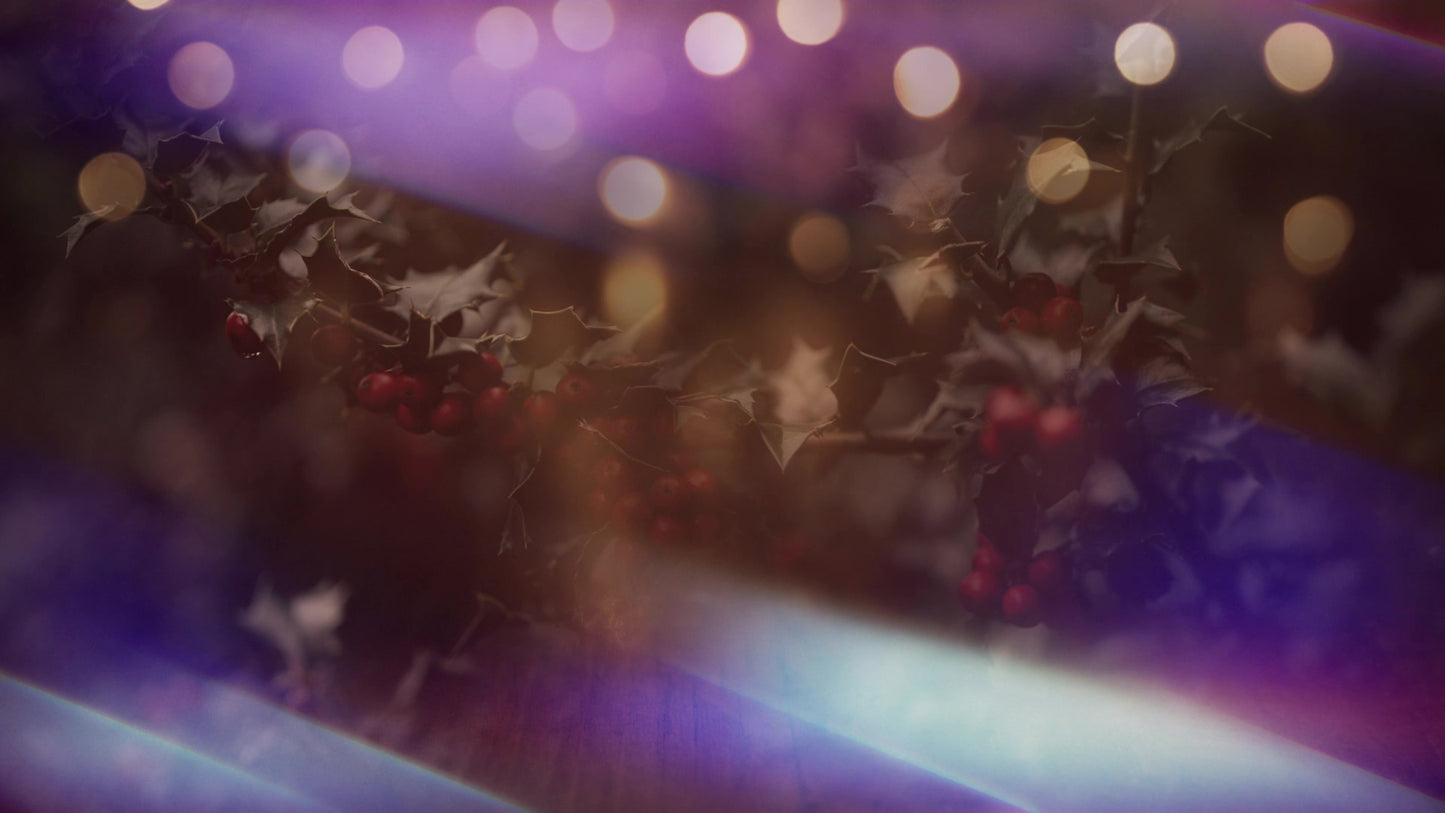 Christmas Light 05