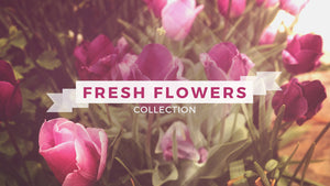 Fresh Flowers