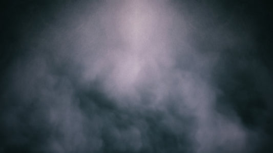 Veterans Salute Fog