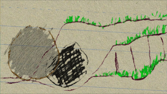 A Very Special Sunday 3