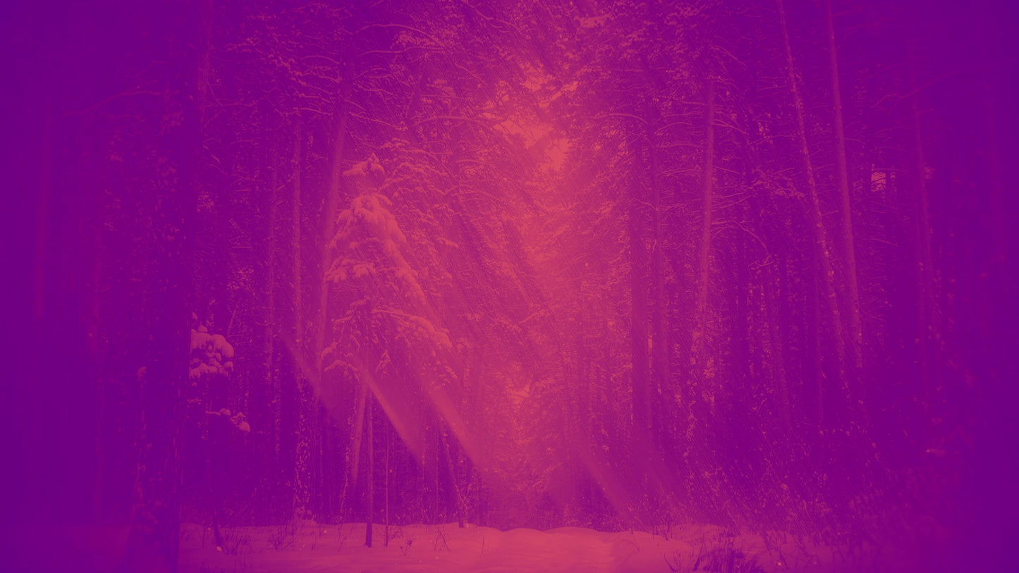 Holiday Visions 5 Alt
