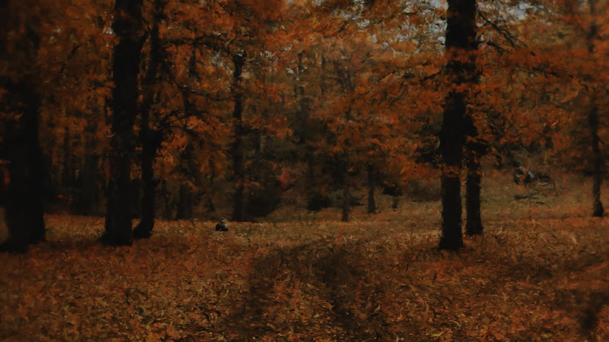 Autumn Vibes 2 Alt
