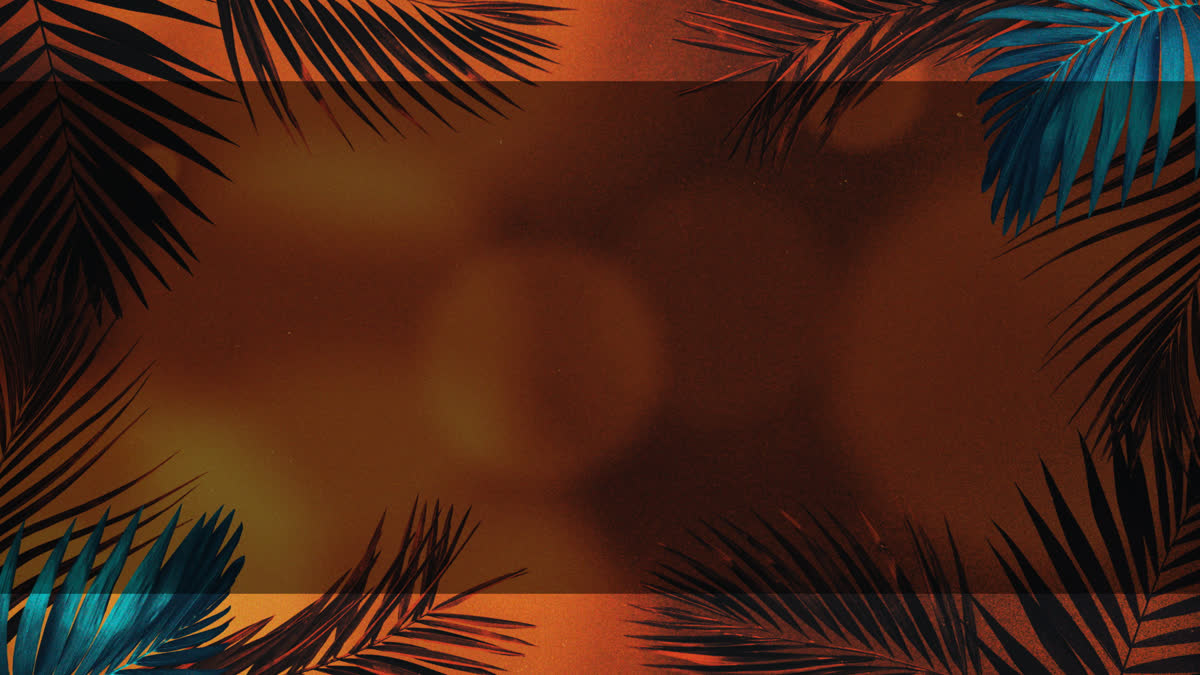 Vibrant Palms 5 Alt