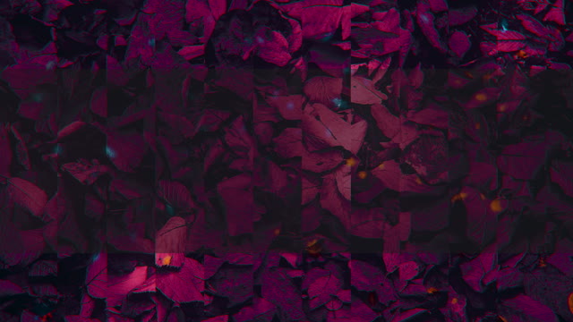 Autumn Memories 8 Alt