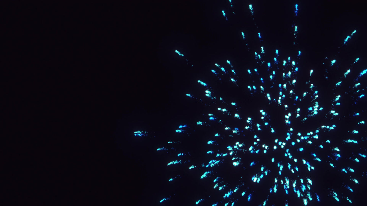 Fireworks Party Five