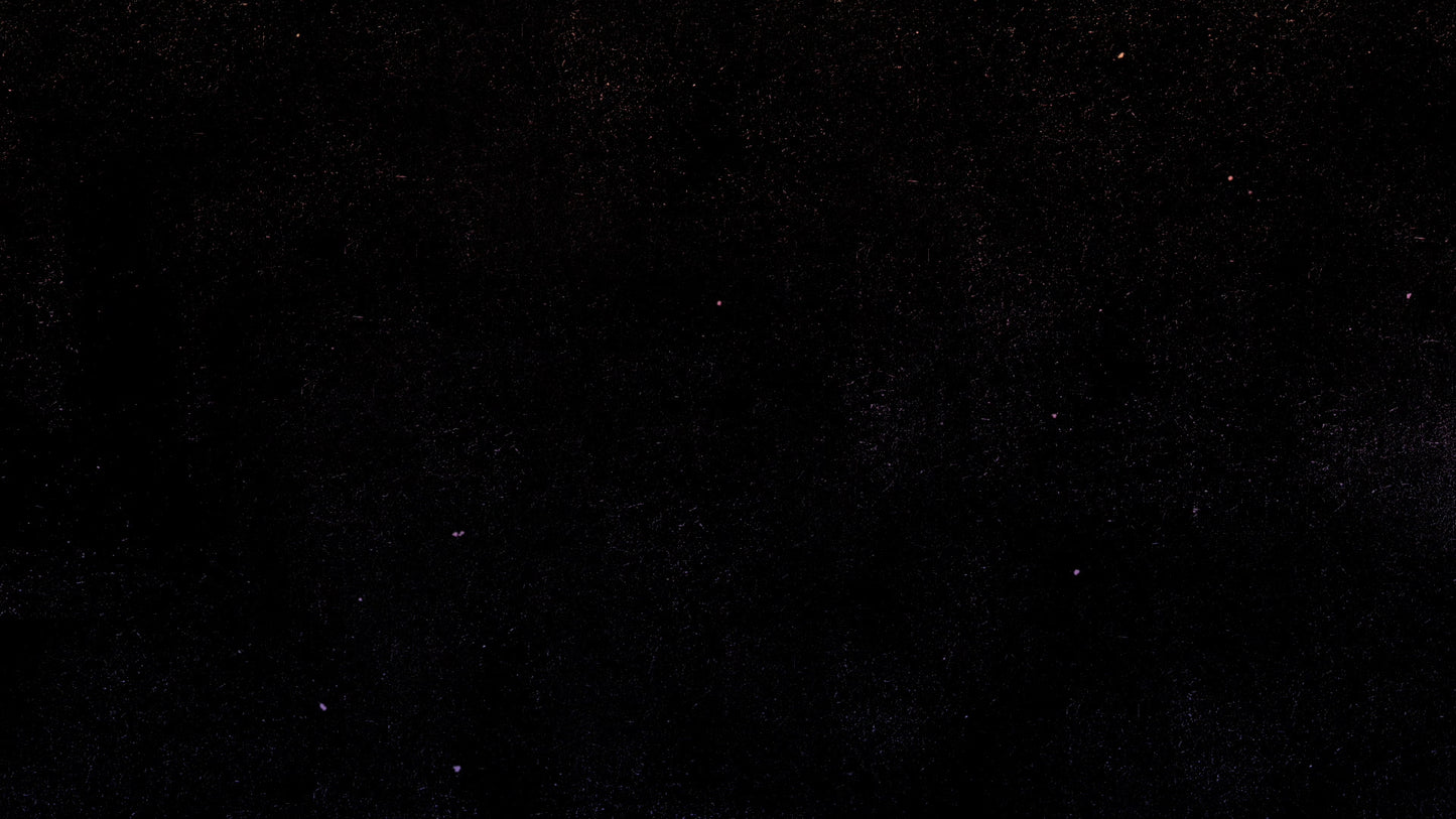 Gradient Easter Blank Still