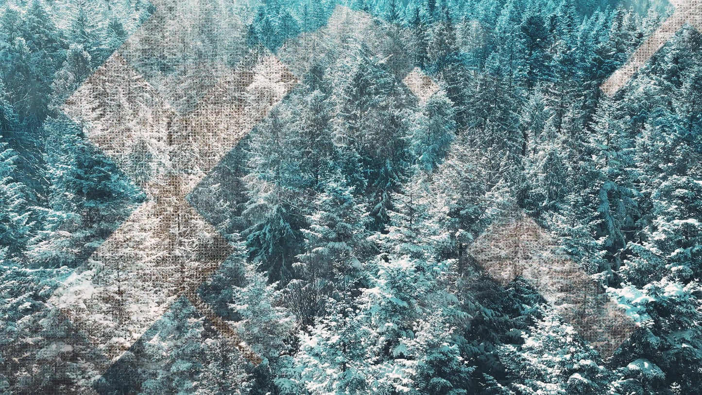 Rustic Christmas 07