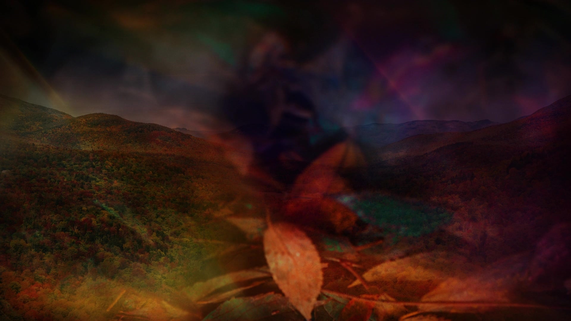 Subtle Fall 05 | Motion | – Shift Worship