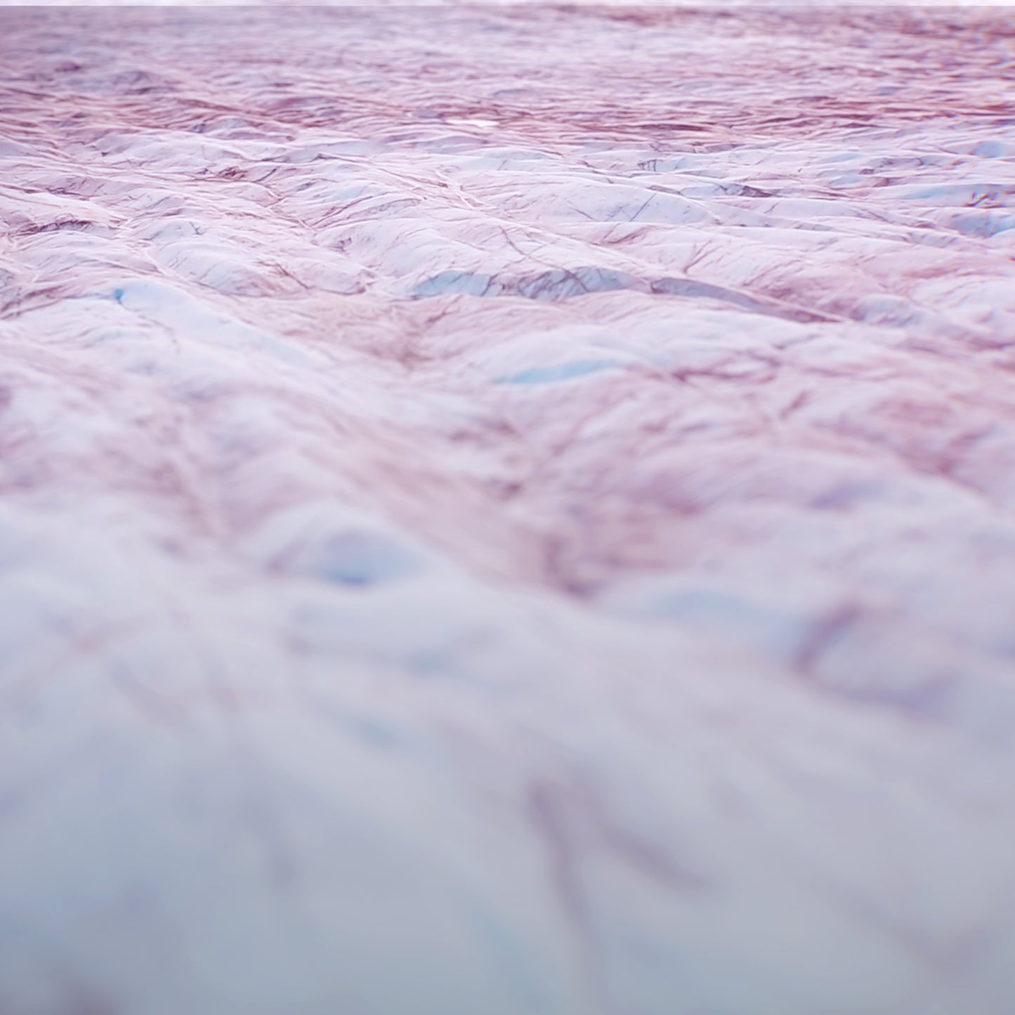 Pearl Parable Blank