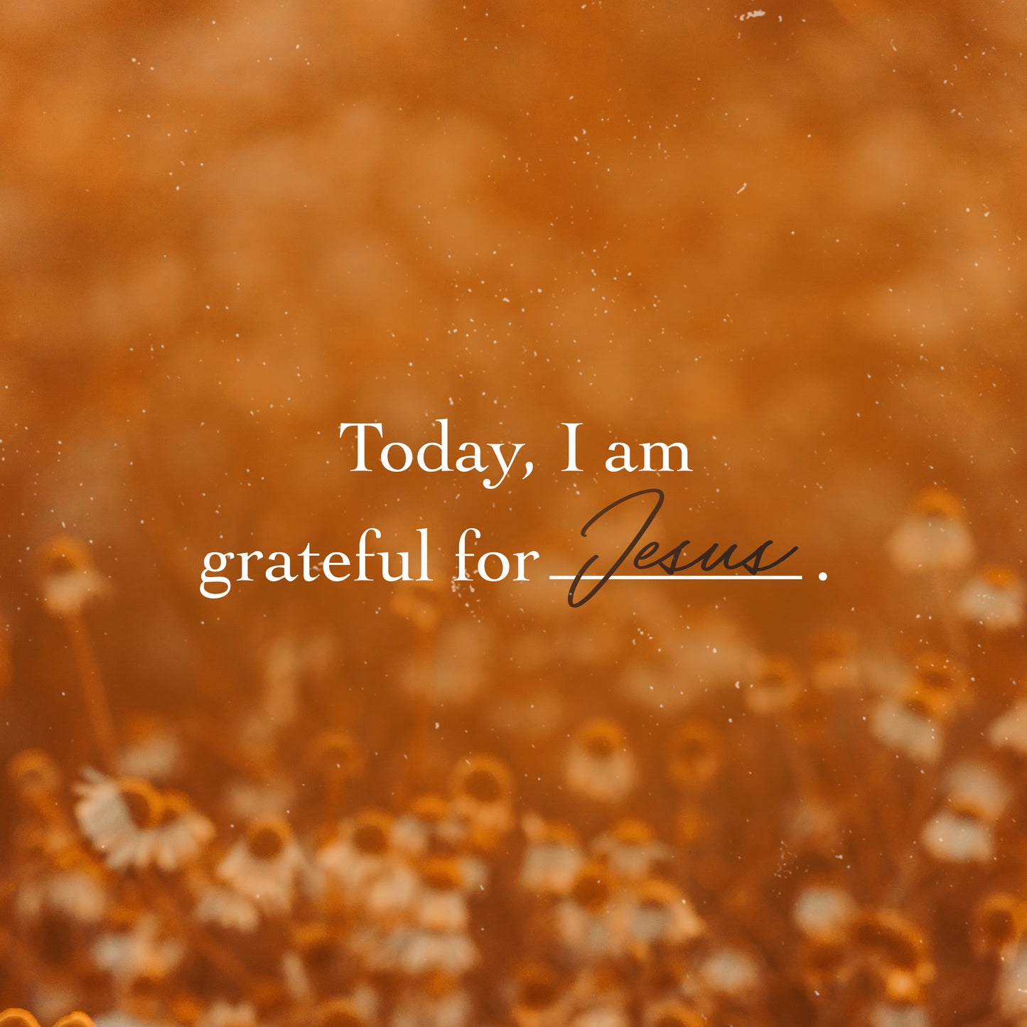Grateful For