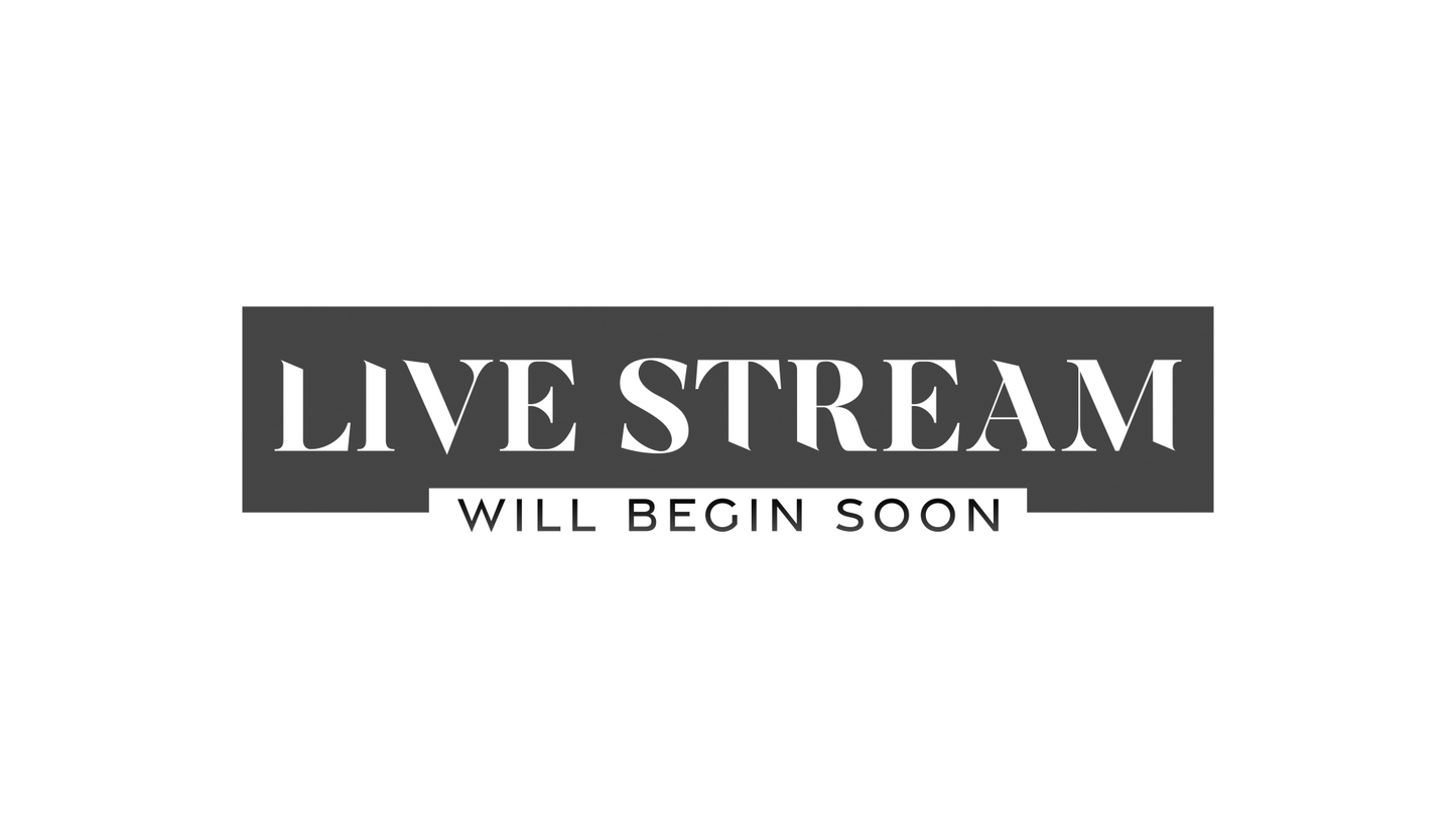 Vivid Palm Sunday Live Stream