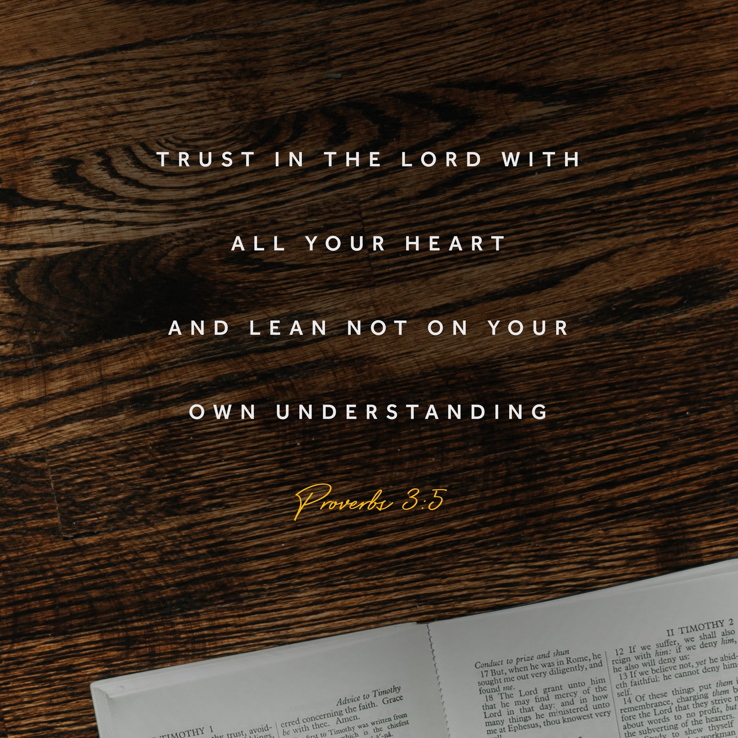 Proverbs 3:5