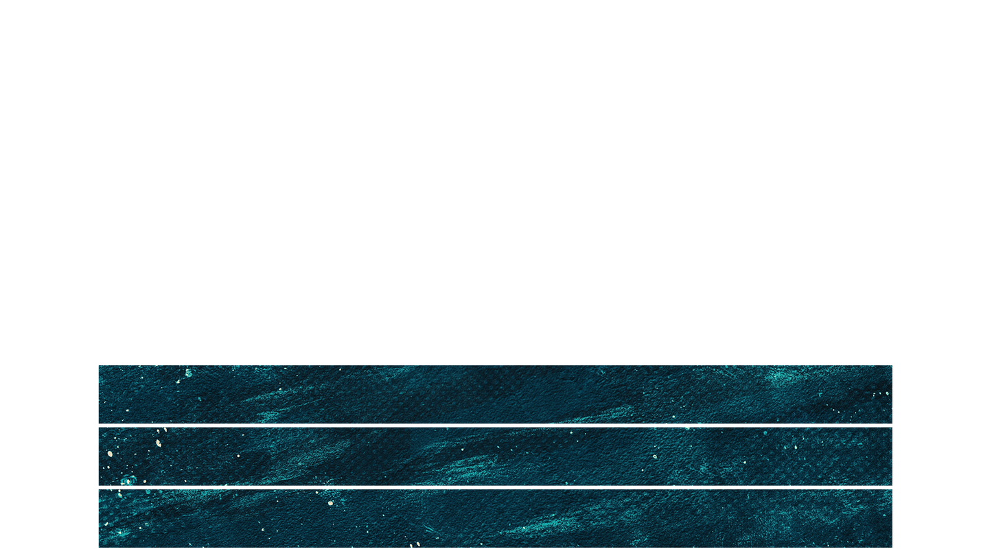 Nativity Brush Lower Third Blank 03