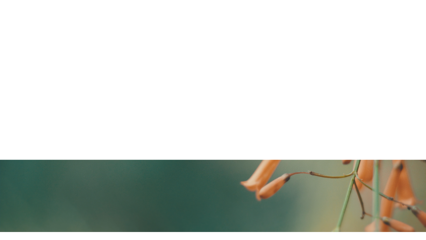 Muted Spring Lower Third Full 3