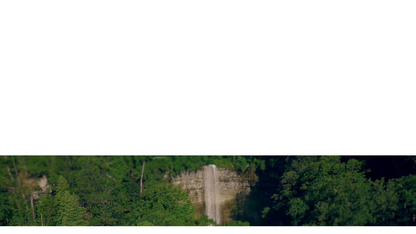 Natures Force Lower Third 10