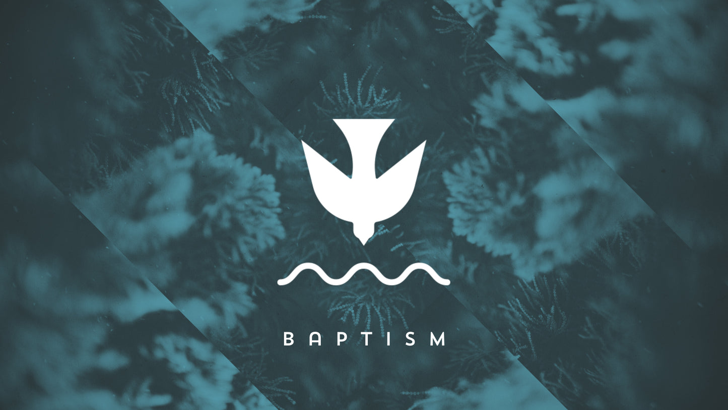Christmas Forest Baptism Still
