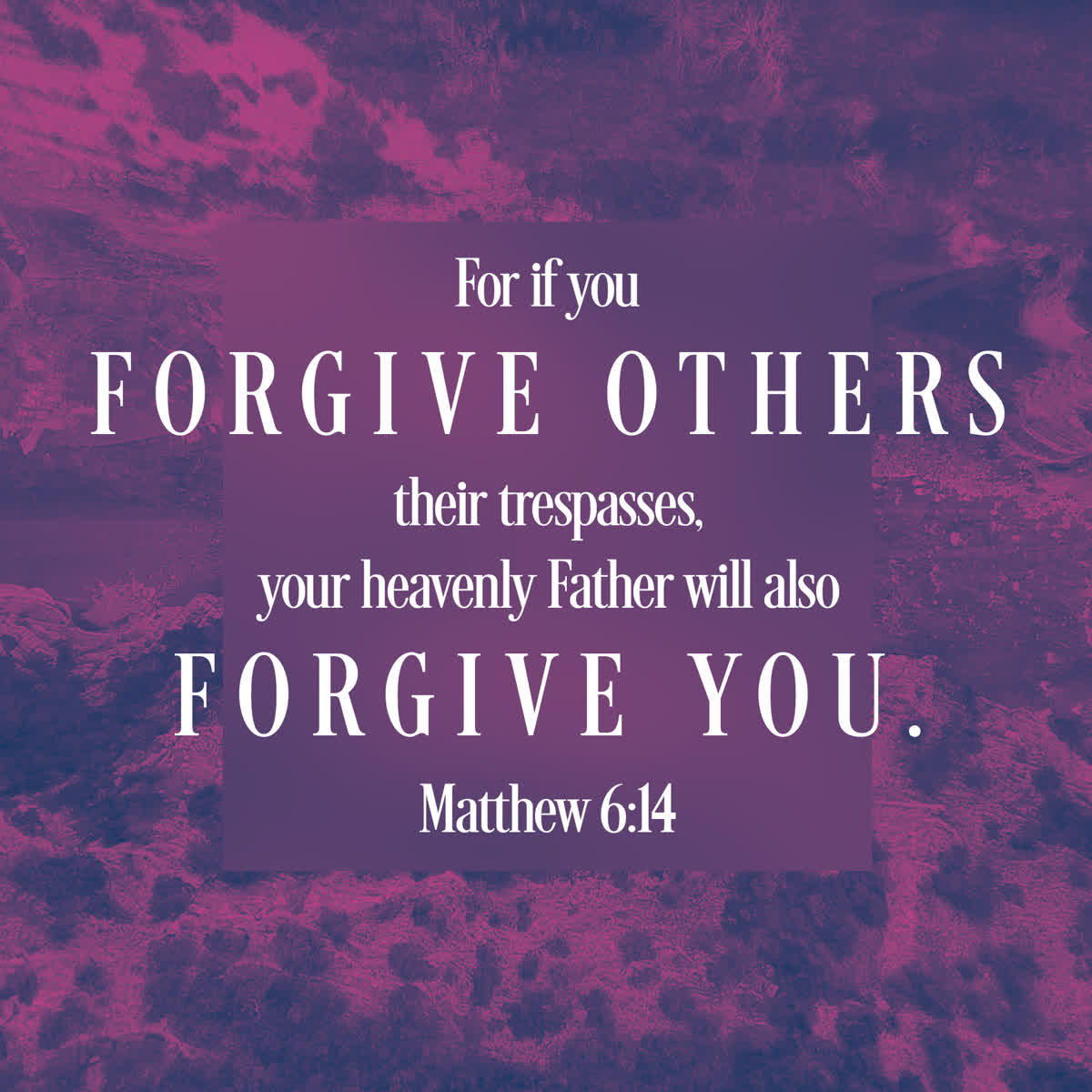 NZ Mashup Forgiven Scripture