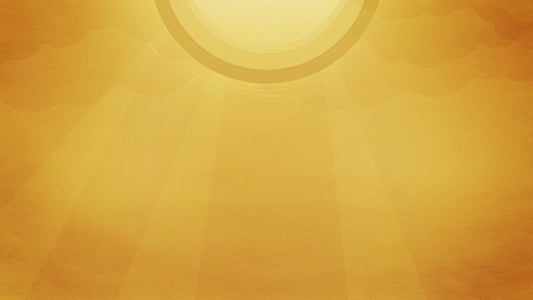 Palm Sky