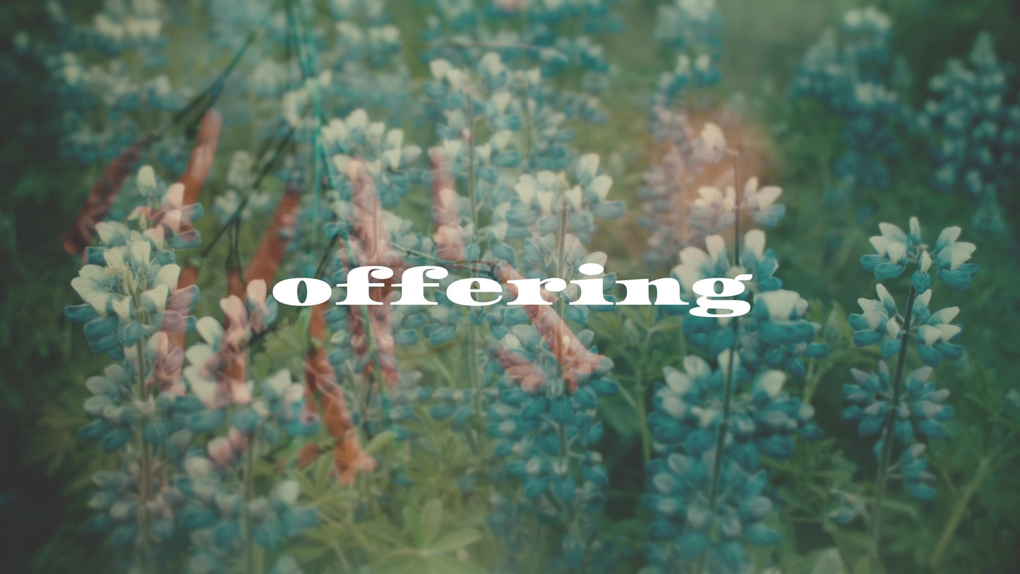 Muted Spring Offering