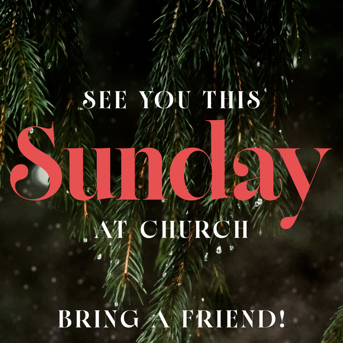 Evergreen Sunday