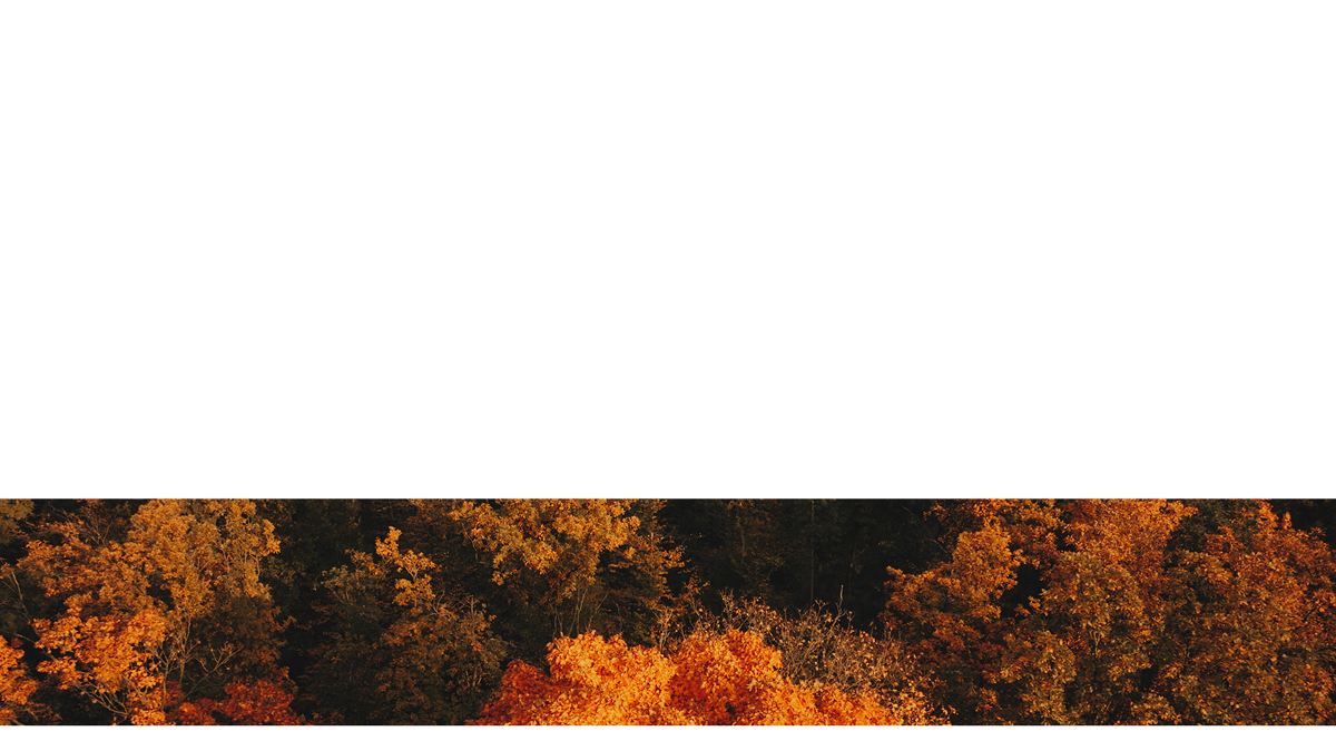 Autumn Foliage Lower Third 10