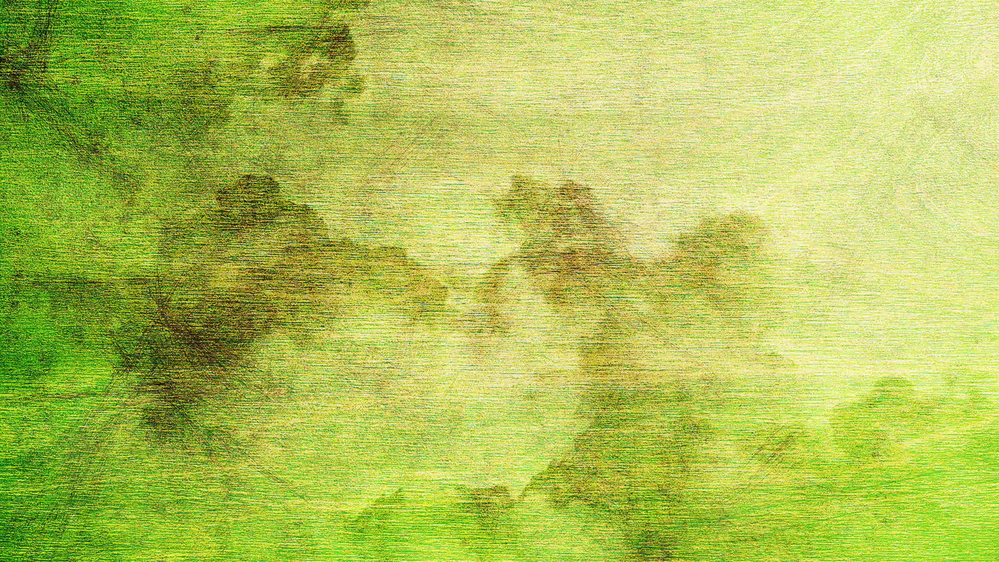 Wooden Sky 05 Still