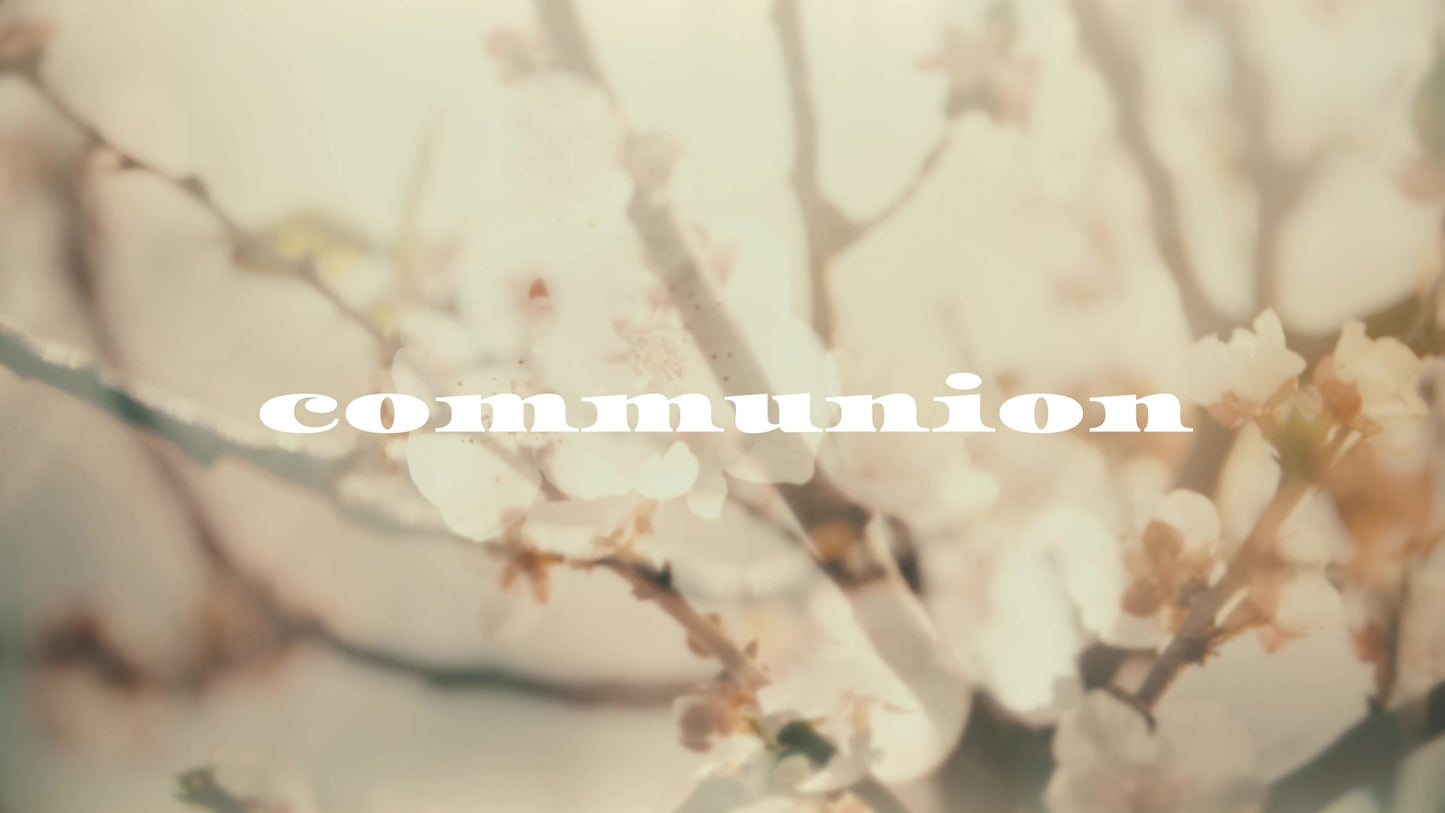 Muted Spring Commuinion