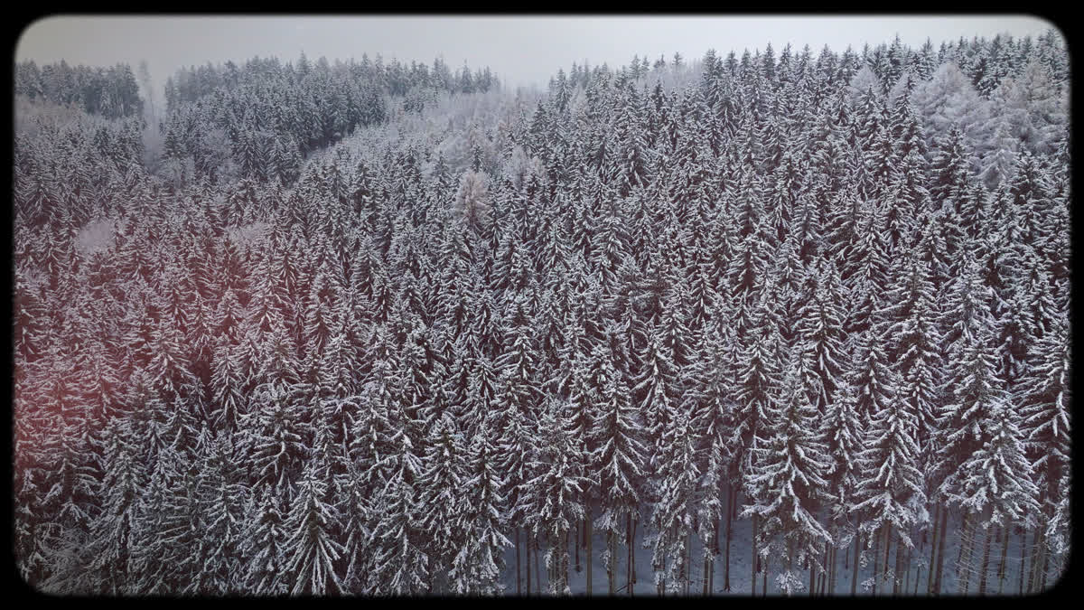 Retro Winter 01