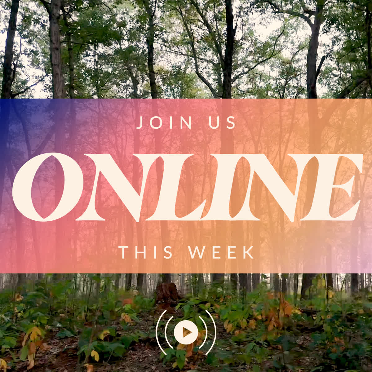 The Forest Grow in Grace Online