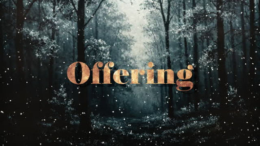 Snow Day Offering