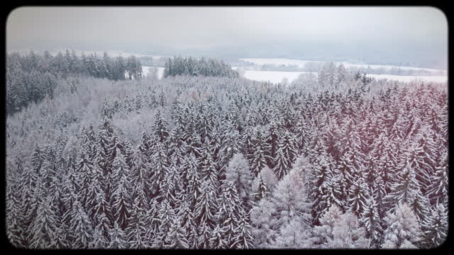 Retro Winter 06