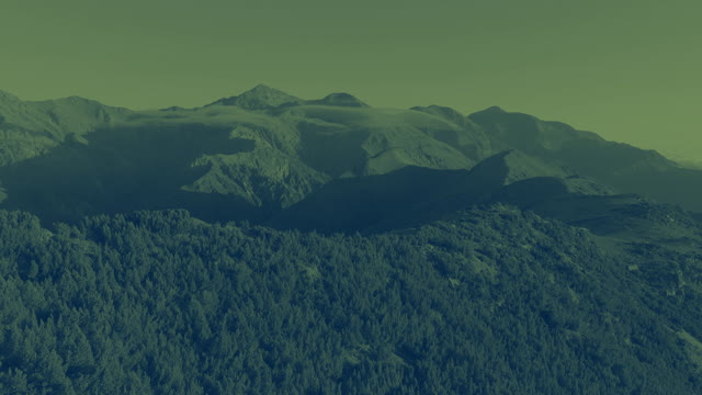 Kiakoura 1 Alt